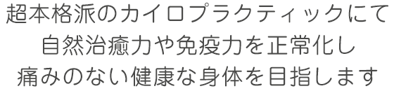 自然治癒力や免疫力を正常化し、痛みのない健康な身体を目指します